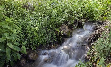 دریاچه زیبای کوه گل مکانی تفریحی برای نوروز (عکس)