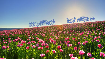 عکس کارت پستالی تبریک نوروز و پوسترهای نوروز 96