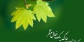 متن کوتاه روز درختکاری جدید | اس ام اس جالب روز درختکاری (15 اسفند)
