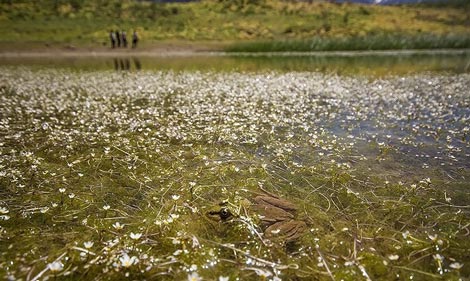 دریاچه زیبای کوه گل مکانی تفریحی برای نوروز (عکس)