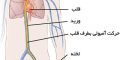 آمبولی چیست و انواع آن کدامند ؟
