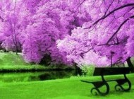 اس ام اس عاشقانه مخصوص بهار و تابستان 1403