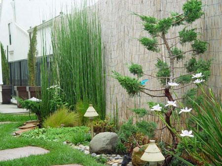 مدل دکوراسیون حیات خانه های میلیاردی تهران