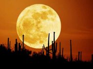 اگر ماه در آسمان نباشد چه اتفاقی برای زمین می افتد؟