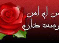 اس ام اس عاشقانه دوستت دارم…