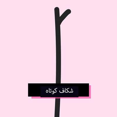 تصاویر انواع موخوره و درمان قطعی موخوره