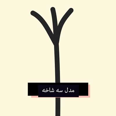 تصاویر انواع موخوره و درمان قطعی موخوره