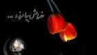 پیامک های تسلیت فوت پدر