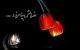 پیامک های تسلیت فوت پدر