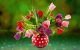 عاشقانه های زیبای زندگی (1)