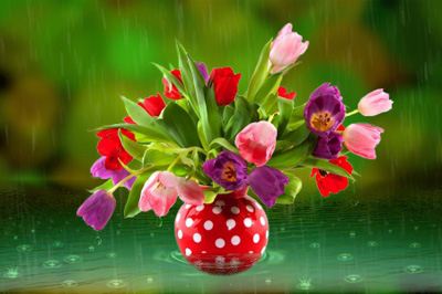 عاشقانه های زیبای زندگی (1)