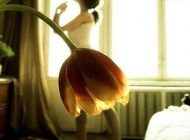دلنوشته های زیبای زنانه