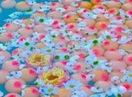 دانلود عکس های خنده دار HD جدید (عکس های خنده دار)