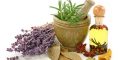 اثر گذارترین داروهای گیاهی درمان دیابت در طب سنتی
