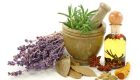 اثر گذارترین داروهای گیاهی درمان دیابت در طب سنتی