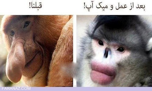 خفن ترین جوک های خنده دار دیماه 95 + عکس خنده دار