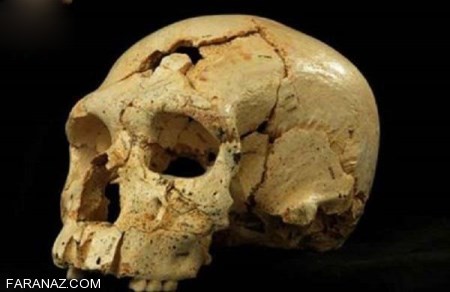 عکس های واقعی اسکلت و جمجمه هابیل پسر حضرت آدم