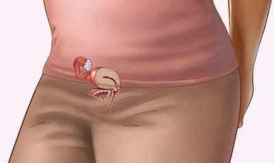 هفته سوم بارداری