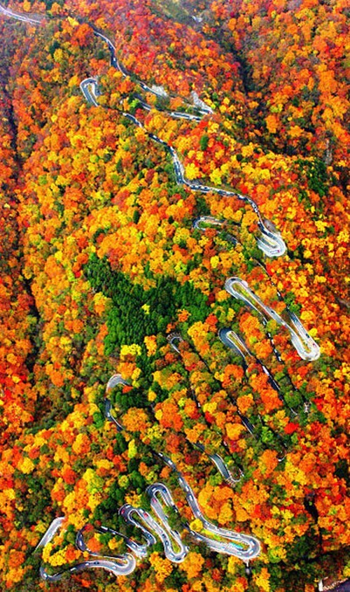 عکس های هوایی زیباترین جاده کوهستانی پرپیچ و خم جهان