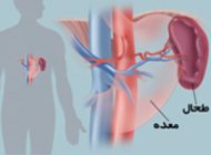 کار طحال در بدن چیست ؟