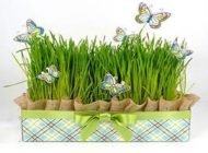 مدل سبزه به شکل طاووس برای سفره هفت سین