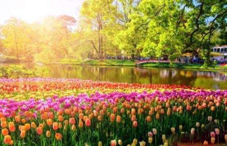 عکس جاهای دیدنی دنیا برای سفر در تابستان
