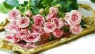 متن زندگی ادامه داره… ویژه افراد خسته و نا امید