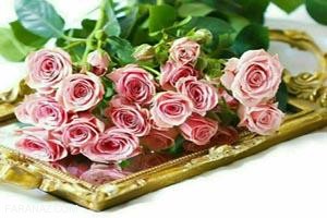 متن زندگی ادامه داره… ویژه افراد خسته و نا امید