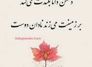 ضرب المثل دشمن دانا به از نادان دوست