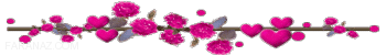 متن تبریک تولد متولدین شهریور | اس ام اس تبریک تولد شهریوری ها