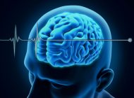 مرگ مغزی چیست و روش های تشخیص مرگ مغزی