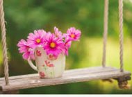 چگونه زندگی را زیبا و از زاویه ای منحصر به فرد بنگریم