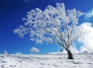 متن زیبا روزهای زمستانی + عکس های فصل زمستان و روزهای برفی