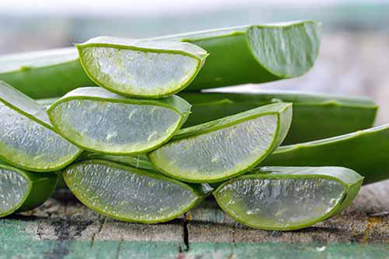 درمان شوره سر به روش سنتی و گیاهی بدون استفاده از دارو شیمیایی