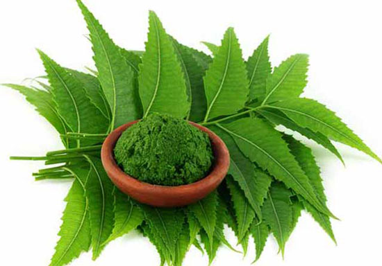 درمان شوره سر به روش سنتی و گیاهی بدون استفاده از دارو شیمیایی