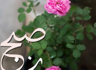 متن صبح بخیر | زیباترین پیام های صبح بخیر (8)