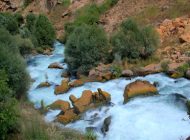 حکمرانی زنان در یک روستای ایران : ورود آقایان به این روستا ممنوع