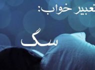انواع تعبیر خواب سگ | دیدن خواب سگ سیاه در حال حمله