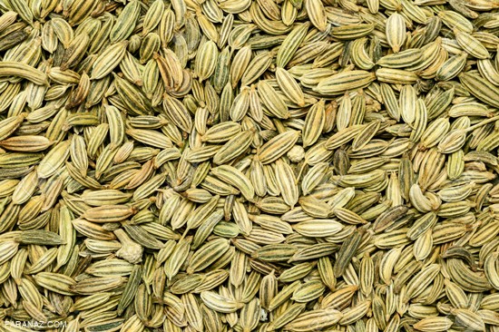 همه چیز درباره زیره و خواص آن