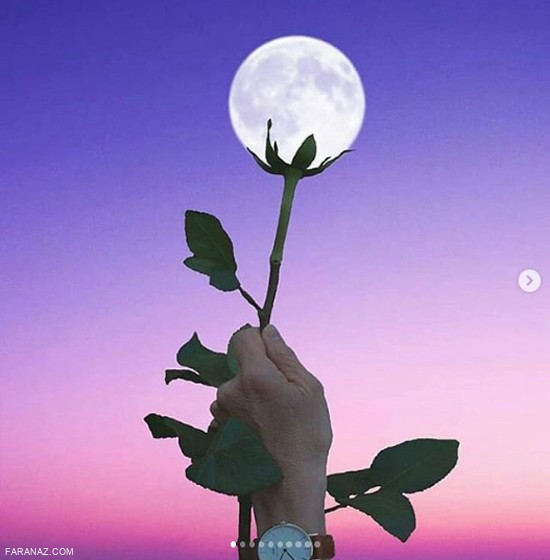 عکس های خاص و دیدنی + عکس زیبای روز