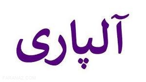 بهینه سازی عملکرد در بازار فارکس