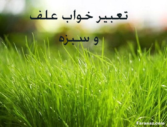 انواع خواب و تعبیر خواب و کدام خواب ها تعبیر دارند انواع خواب و تعبیر خواب و کدام خواب ها تعبیر دارند