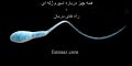 همه چیز درباره اسپرم ژله ای + راه های درمان