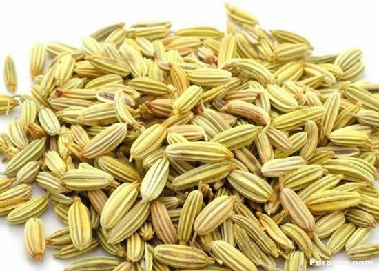 داروی امام کاظم چیست؟همه چیز درباره داروی امام کاظم