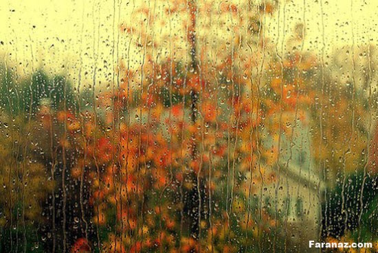 زیباترین عکس های پائیزی و بارانی + متن احساسی