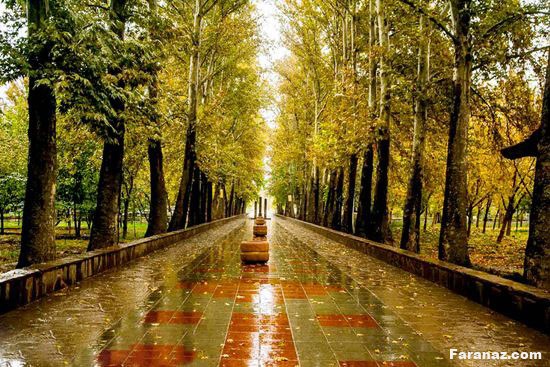 زیباترین عکس های پائیزی و بارانی + متن احساسی