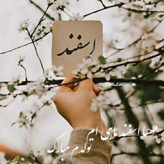 عکس و متن تبریک تولد اسفندماه | عکس نوشته اسفندماهی جان تولدت مبارک