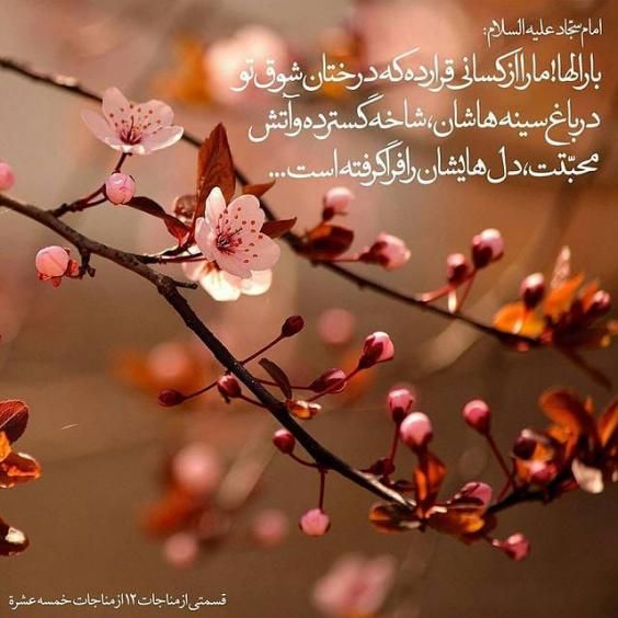 عکس و متن تبریک ولادت امام زین العابدین (امام سجاد) علیه السلام ۵ شعبان