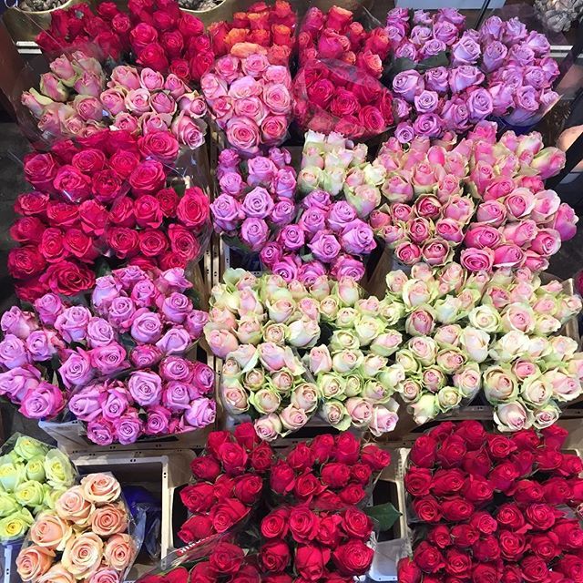 بیوگرافی و عکس های بهنوش طباطبایی و همسر جدیدش + علت طلاق از مهدی پاکدل
