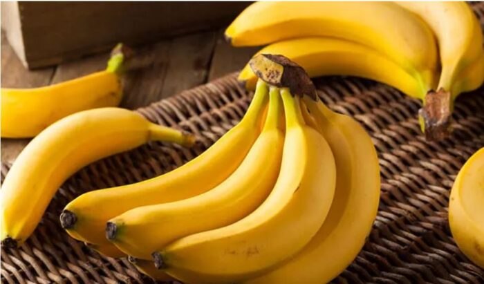 فهرست بهترین غذاهای سالم برای دوران بارداری
